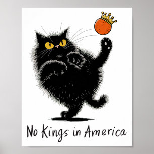 Geen koningen in Amerika Wij het volk Politiek 1 Poster