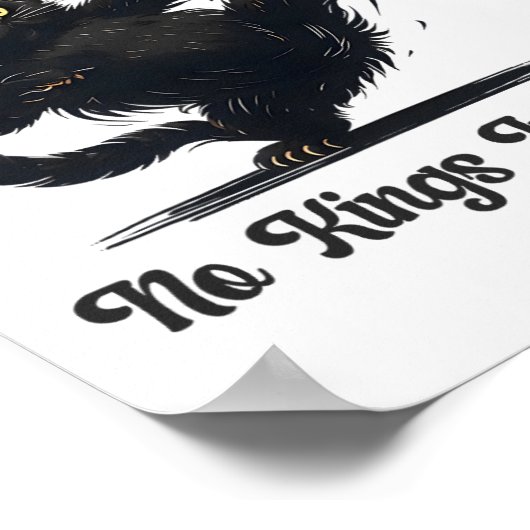 Geen koningen in Amerika, wij zijn het politieke v Poster (Hoek)