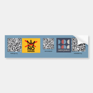 Geen Koningen / Onverdeeld Bumpersticker