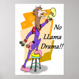 Geen lama drama! 4 poster
