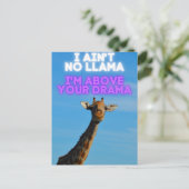 Geen Llama, ik ben boven je Drama Giraffe Briefkaart (Staand voorkant)