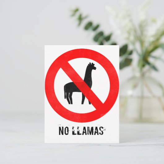 Geen Llamas Briefkaart (Staand voorkant)