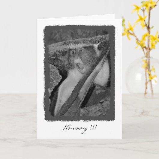 Geen manier, Verjaardag! Kaart (Gele Bloem)