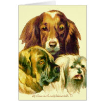 "Geen mens kan zoveel van je houden als ik"