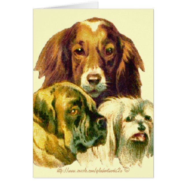 "Geen mens kan zoveel van je houden als ik" (Voorkant)