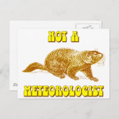 Geen meteoroloog Groundhog Briefkaart (Voorkant / Achterkant)