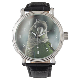 Geen mock Egel meer Horloge