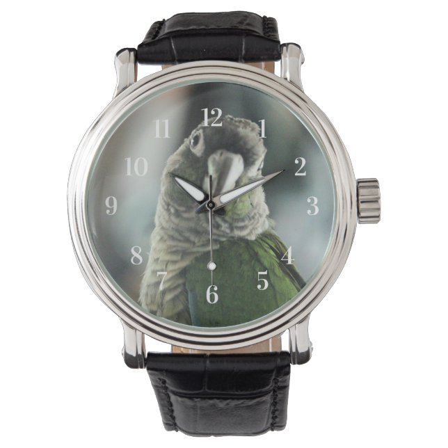 Geen mock Egel meer Horloge (Voorkant)