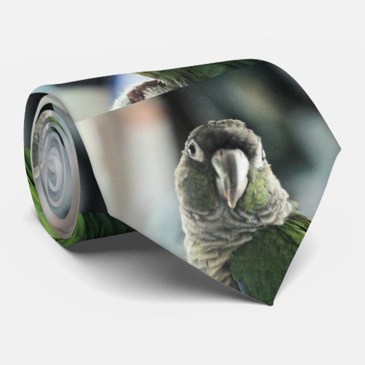 Geen mock Egel meer Stropdas (Opgerold)