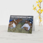 GEEN MOO-A COUP-DELEN VERJAARDAGEN KAART (Gele Bloem)