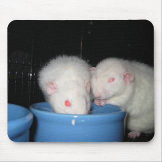 Geen Muismat... Muismat