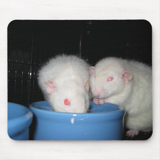 Geen Muismat... Muismat (Voorkant)