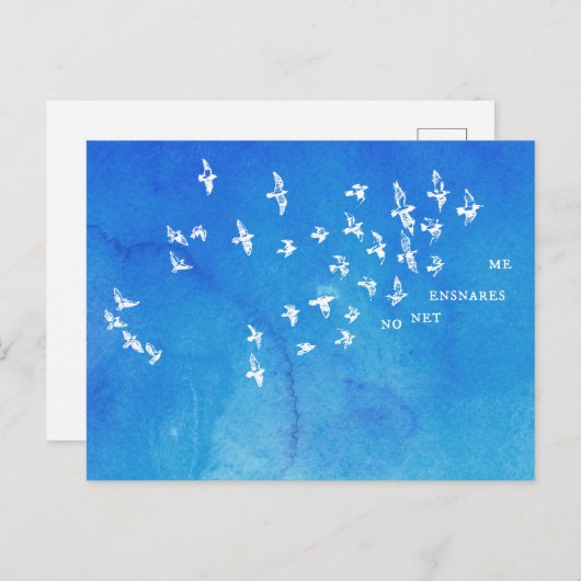 "Geen net verstrikt me" + vogels (wit op blauw) Briefkaart (Voorkant / Achterkant)