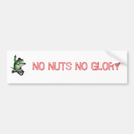 GEEN NUTS-GEHEUGEN BUMPERSTICKER (Voorkant)