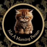 Geen ochtendmens of Jouw tekst boze slaperige poes