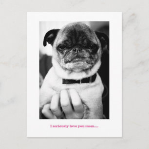 Geen opgewonden moment briefkaart