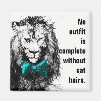 Geen outfit is compleet zonder kattenharen
