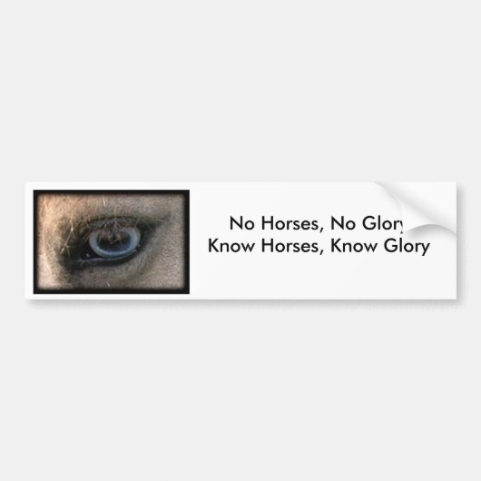 Geen paarden, geen glorie - Bumpersticker (Voorkant)