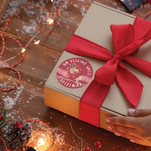 Geen pieken tot kerst | Dachshund Dog Red Ronde Sticker