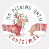 Geen pieken tot kerst | Dachshund Dog Sweater Ronde Sticker (Voorkant)