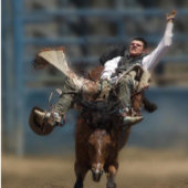 " GEEN PIJN - GEEN WINST "! Stretched Canvas Print