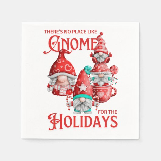 Geen Plaats Als Gnome Servet (Voorkant)