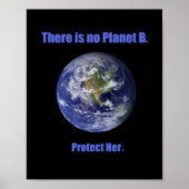 Geen plant B Poster (Voorkant)
