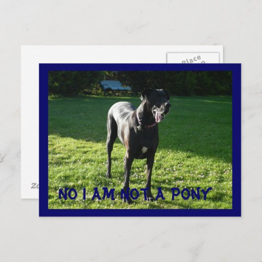 Geen Pony Briefkaart (Voorkant / Achterkant)