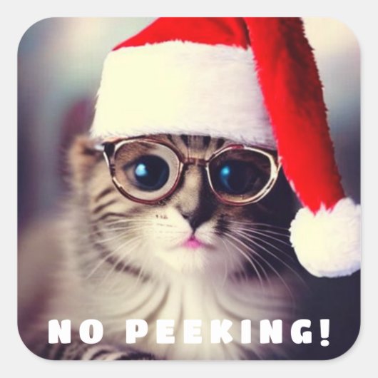 Geen prikkende Klassieke Ronde Sticker (Voorkant)