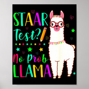 Geen Prob Llama Grappige Leraar Examen Testen Test Poster