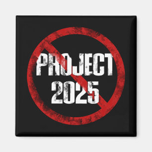 Geen project 2025 1 magneet