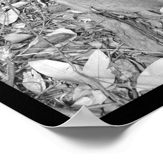 geen rechtse bocht poster (Hoek)