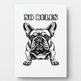 Geen regels fotoplaat