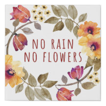 Geen regen, geen bloemen