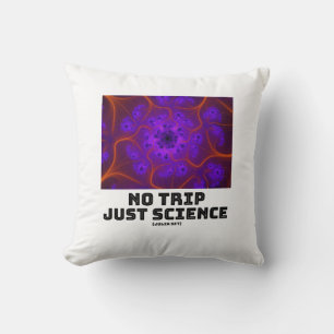 Geen reis alleen maar wetenschap Mandelbrot Julia Kussen