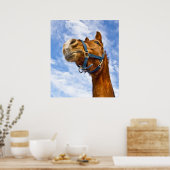 geen ritje vandaag poster (Keuken)