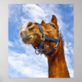 geen ritje vandaag poster (Voorkant)