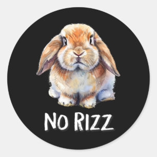 Geen Rizz Mini Holland Lop Bunny Rabbit Lover Ronde Sticker