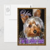 Geen Rubber Bands voor Yorkie Briefkaart (Voorkant / Achterkant)