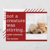 geen schepsel roerde de rode foto ' s kerst aankondiging (Voorkant / Achterkant)