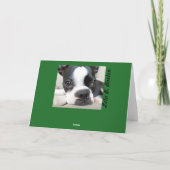 Geen schepsel roerde... LEGE KAART (Achterkant)