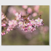 Geen schoonheid meer van de lossom van Sakura Cher Cadeaupapier (Vlak)