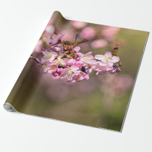 Geen schoonheid meer van de lossom van Sakura Cher Cadeaupapier