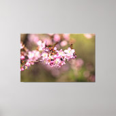 Geen schoonheid meer van de lossom van Sakura Cher Canvas Afdruk (Voorkant)