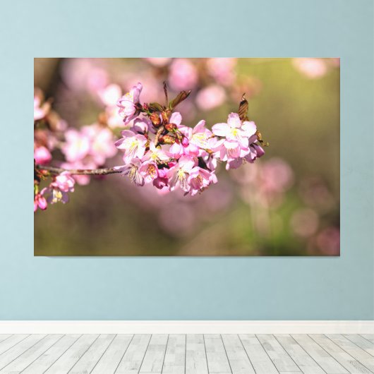 Geen schoonheid meer van de lossom van Sakura Cher Canvas Afdruk (Insitu (Houten vloer))