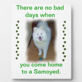 Geen slechte dagen - Samoyed plaque Fotoplaat (Voorkant)