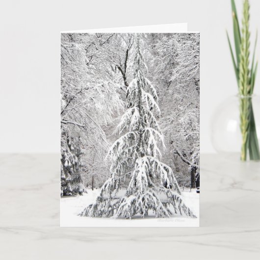 -Geen sneeuwvlok Herfsten op de verkeerde plaats. Feestdagen Kaart (Voorkant)