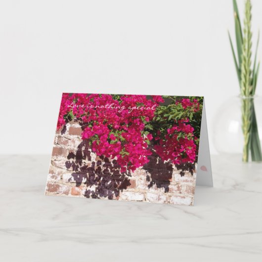 Geen speciale kaart (Voorkant)