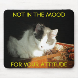 Geen stemming voor je Attitude Cat Meme Muismat