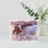 geen stier briefkaart (Staand voorkant)